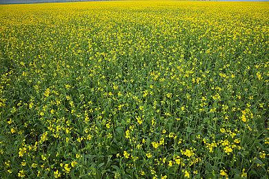 本月7款游戏将离开XGP：《银河护卫队》和《传说之下》等